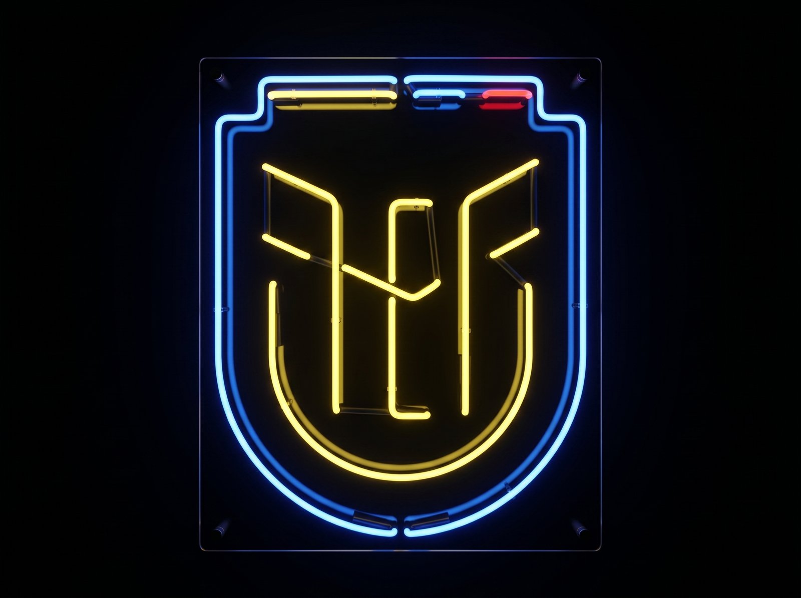 Ecuador World Cup Celebration Neon Sign
