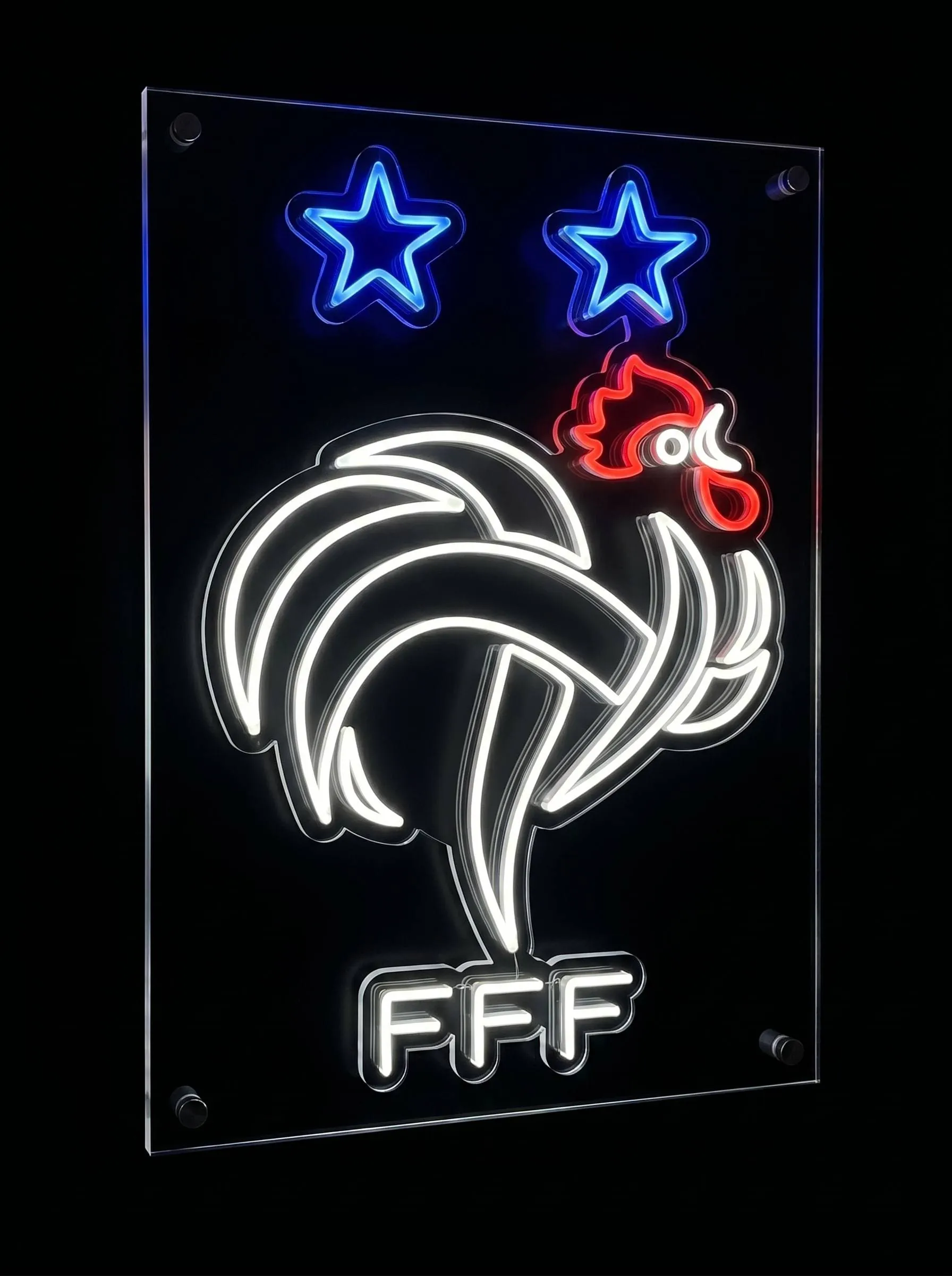 France Neon Sign