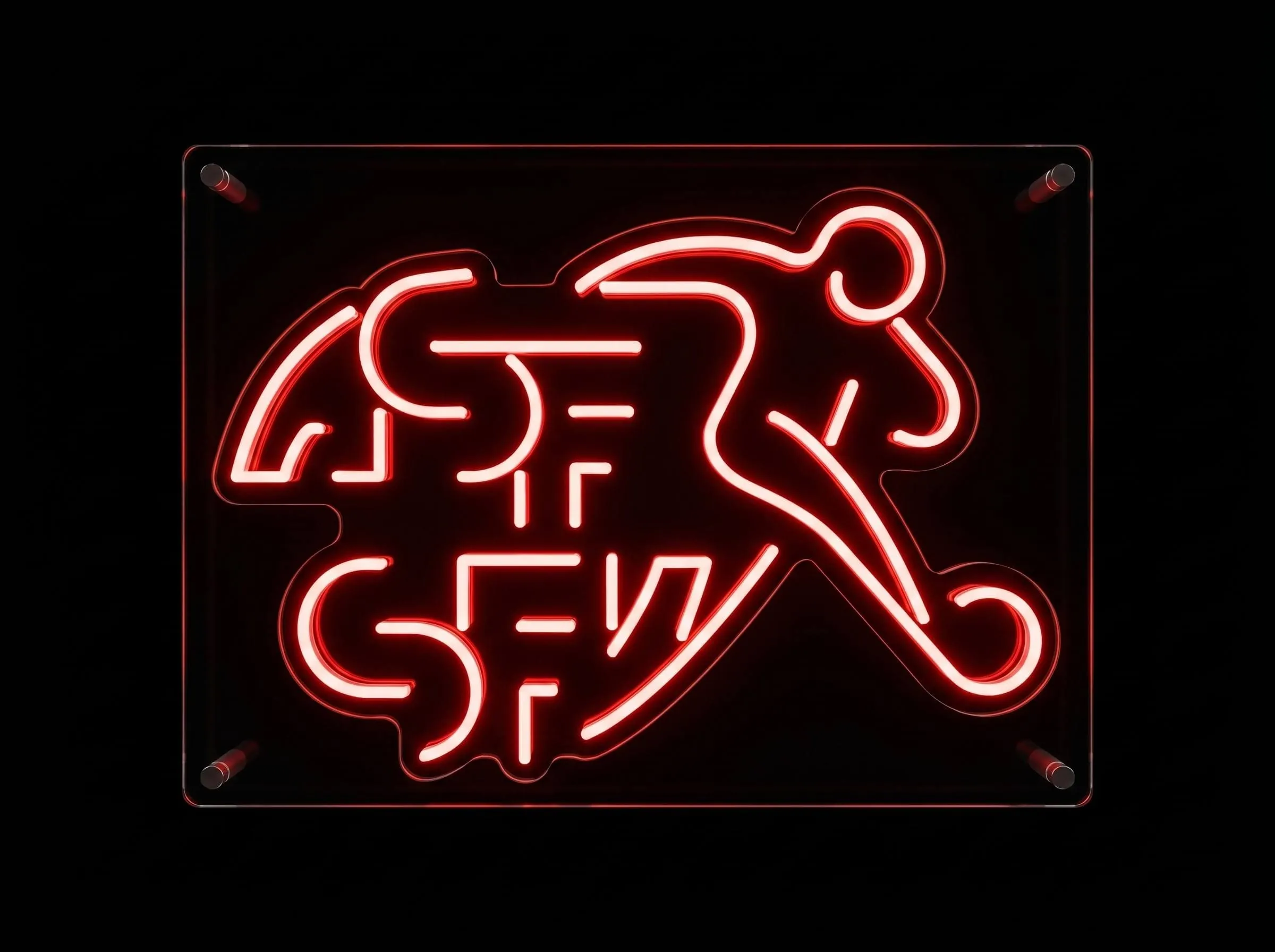Switzerland Neon Sign