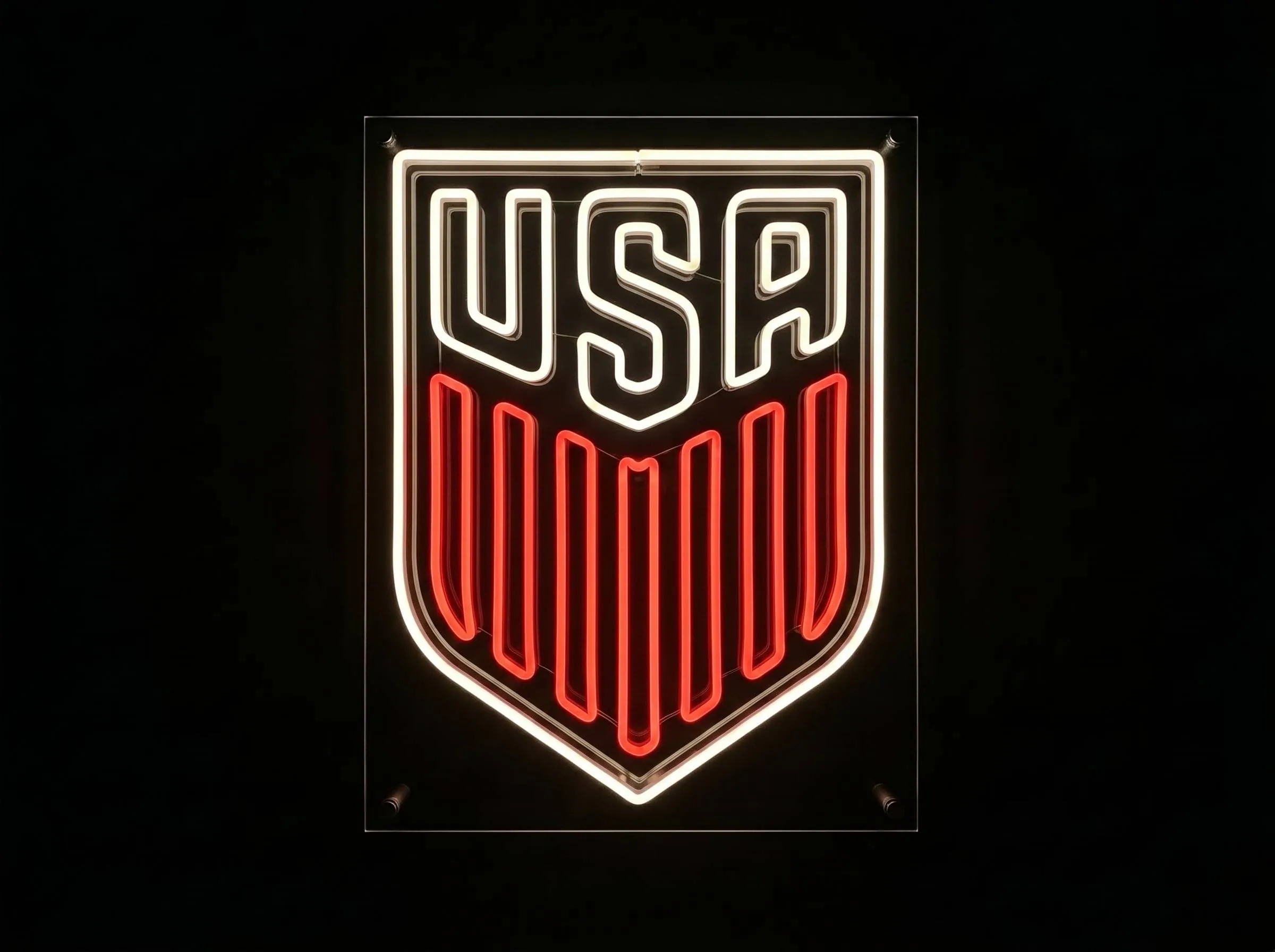 USA Neon Sign
