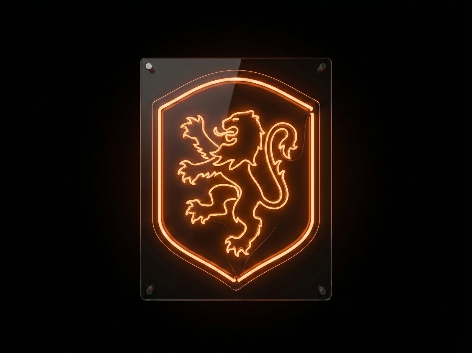 Netherlands World Cup Celebration Neon Sign