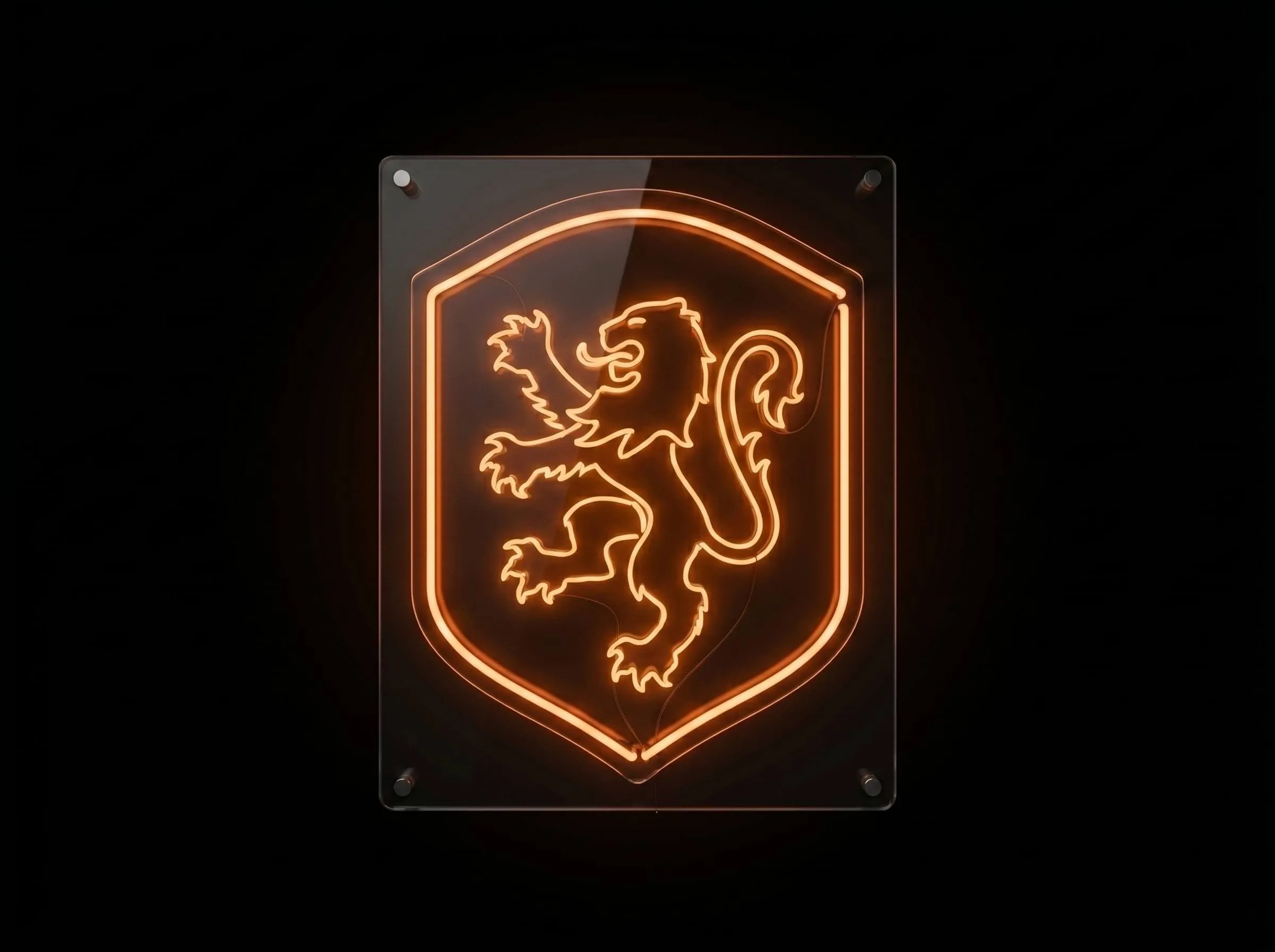 Netherlands Neon Sign